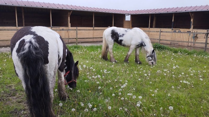 Poney Club du Belcan - photo 2