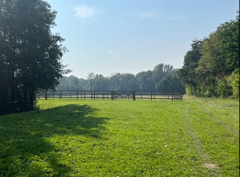 Haras du Montois - photo 2