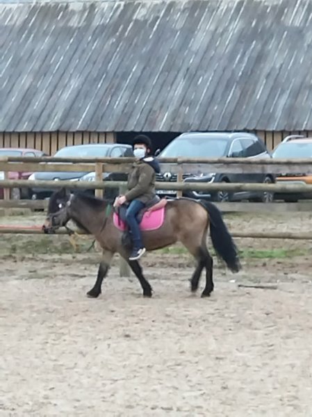 Ecuries de la Sensée - photo 1