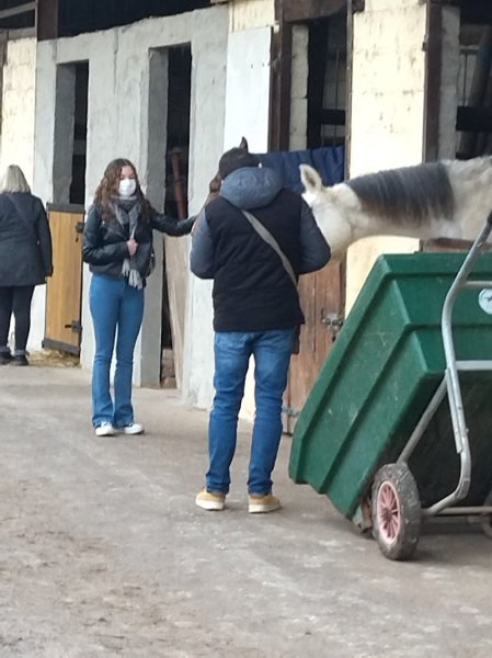 Ecuries de la Sensée - photo 2