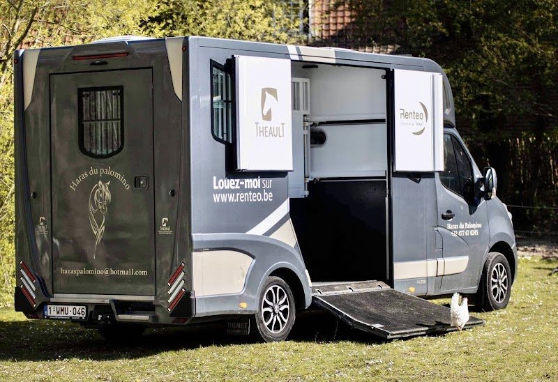 Haras du palomino - photo 1