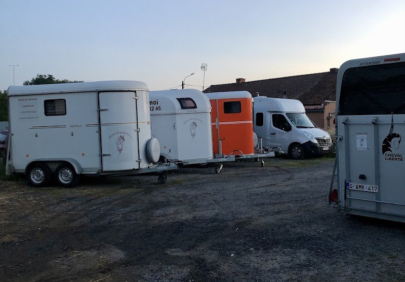 Haras du palomino - photo 2