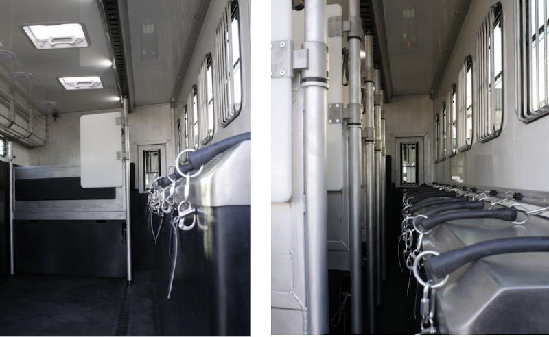 Haras du palomino - photo 3