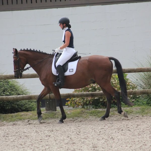 Ecurie Equi'libre - photo 1