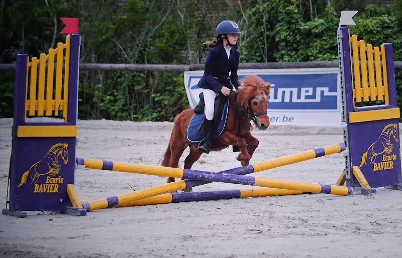 Ecurie Equi'libre - photo 3