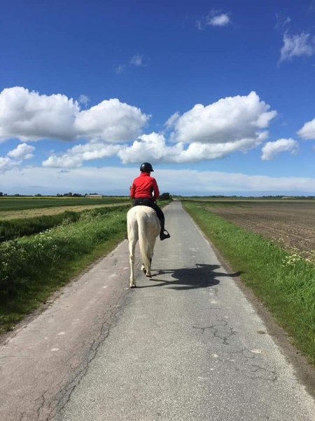 Haras du Carbonnet - photo 1