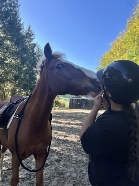 Centre Haras ValPierre - photo 1