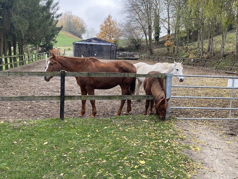 Centre Haras ValPierre - photo 2