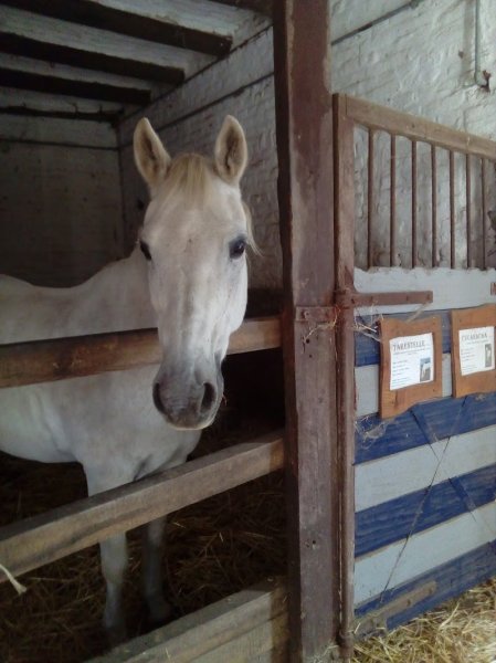Centre Haras ValPierre - photo 3