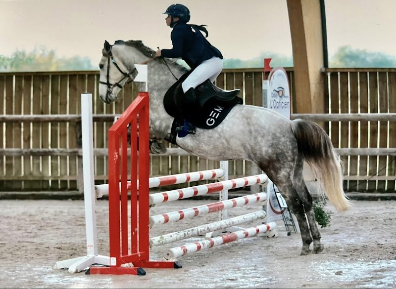 Les écuries de Capucine - photo 2