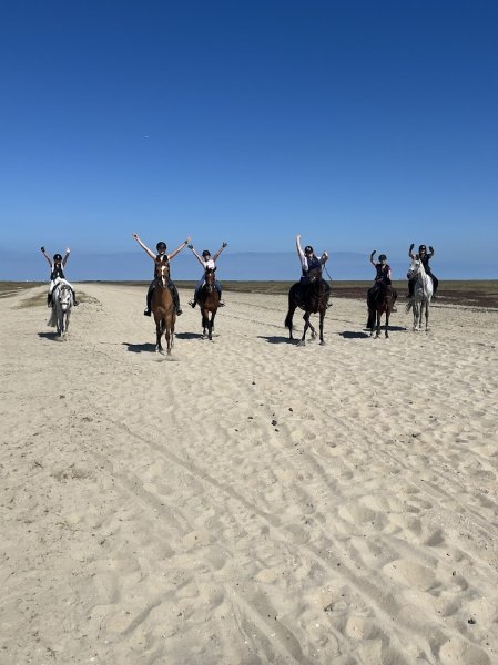 Les écuries de Capucine - photo 3