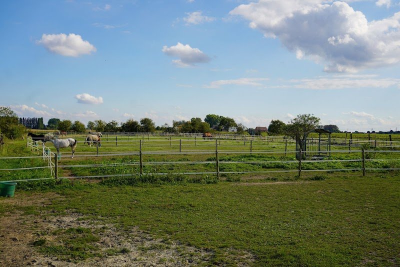 SARL CENTRE EQUESTRE DE BERSEE, écurie des Peupliers