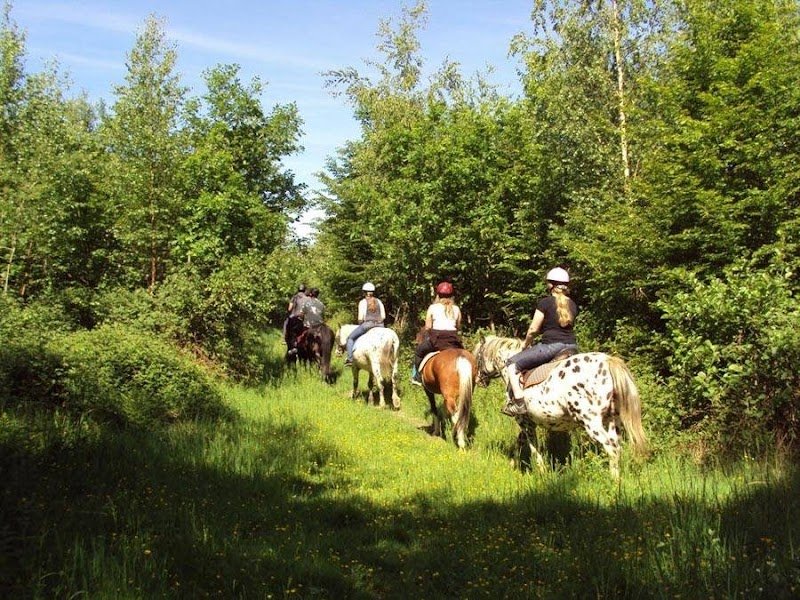 ASSOCIATION EQUESTRE DES RANDONNEURS DE MORMAL - photo 1