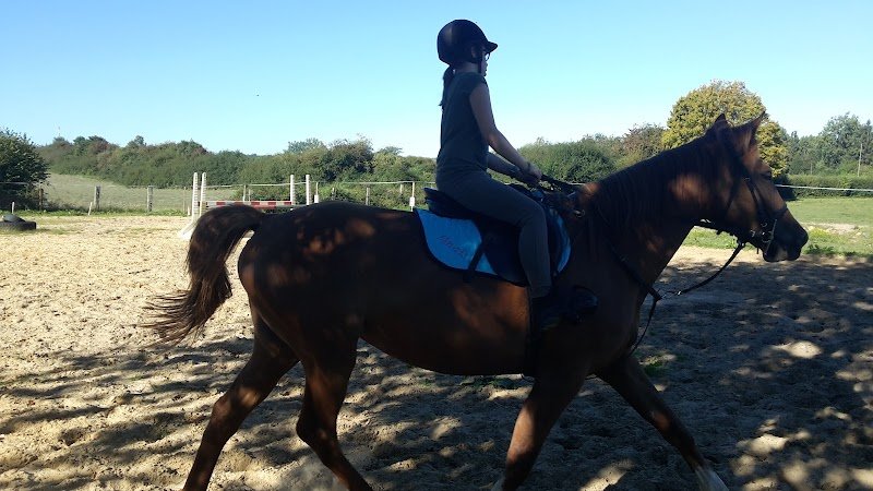 ASSOCIATION EQUESTRE DES RANDONNEURS DE MORMAL - photo 3