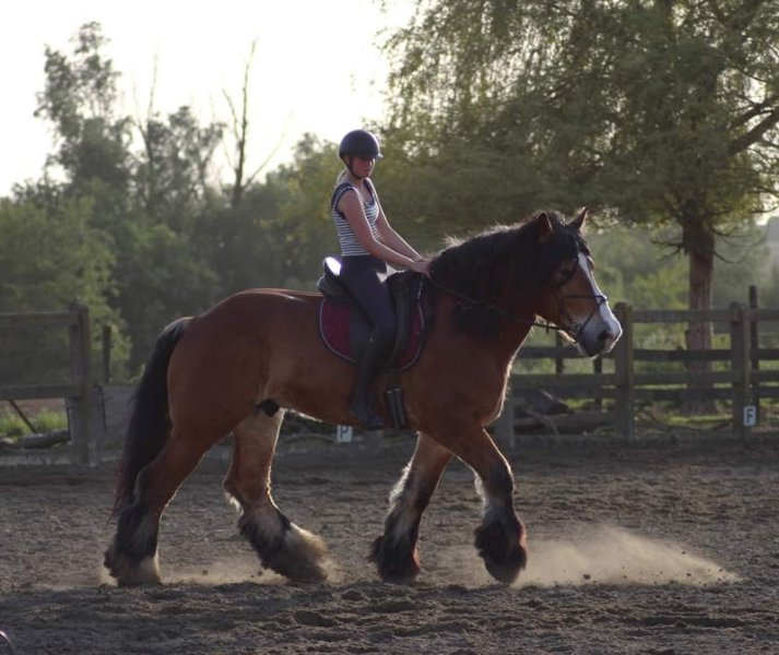 Les Ecuries de la Gageole