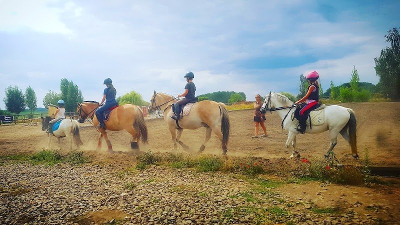 Les Ecuries de la Gageole - photo 3