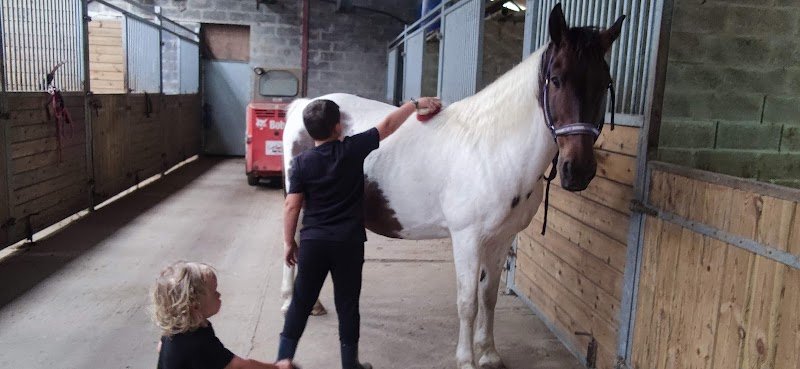 Centre Équestre d'Arleux - photo 1