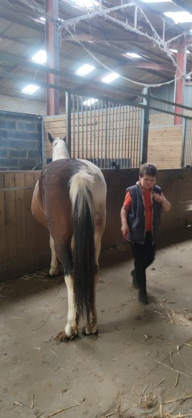 Centre Équestre d'Arleux - photo 2