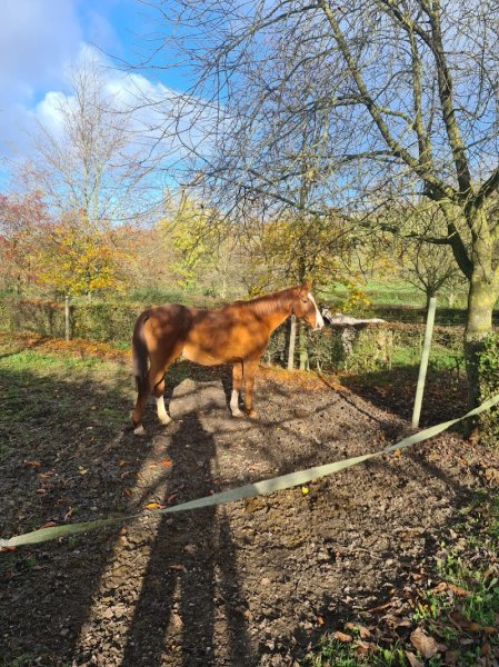 Ecurie Des Zouaves - photo 1