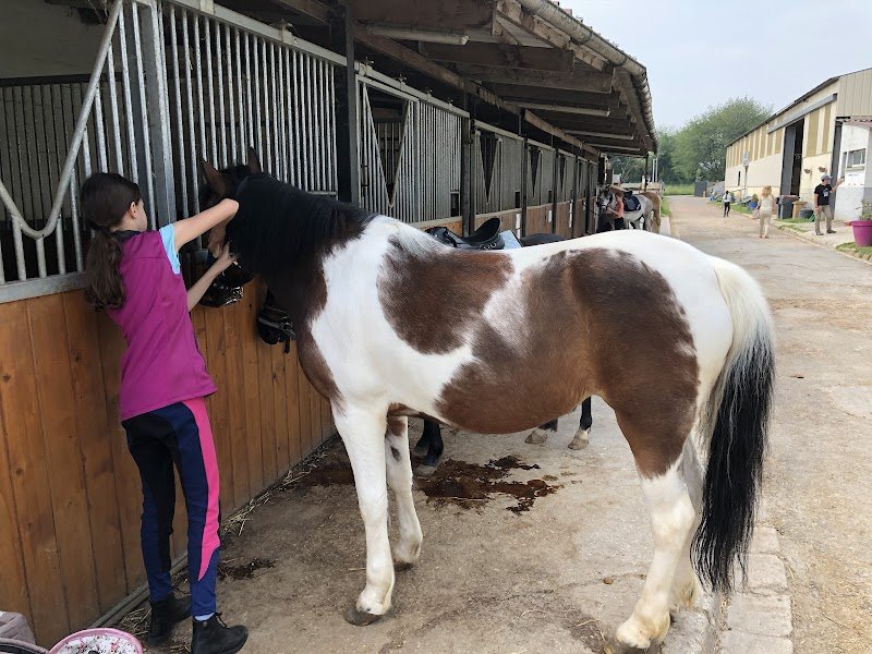 Les Ecuries des Fleurons - photo 3