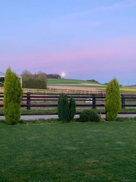 Les écuries de Jema - photo 2