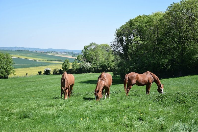 Ecurie Du Grand Difques - photo 1