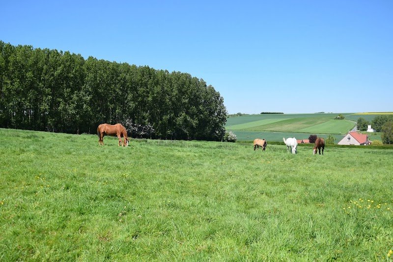 Ecurie Du Grand Difques - photo 2