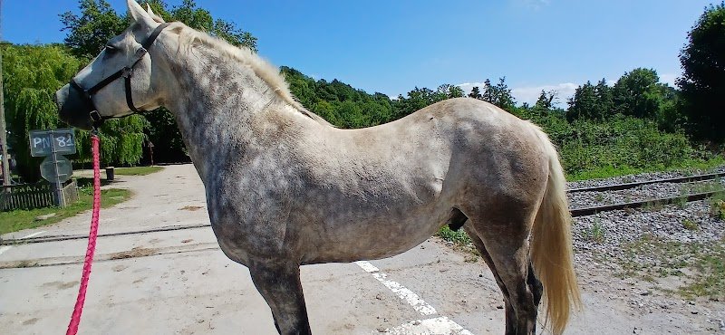 EcquEcurie - photo 2