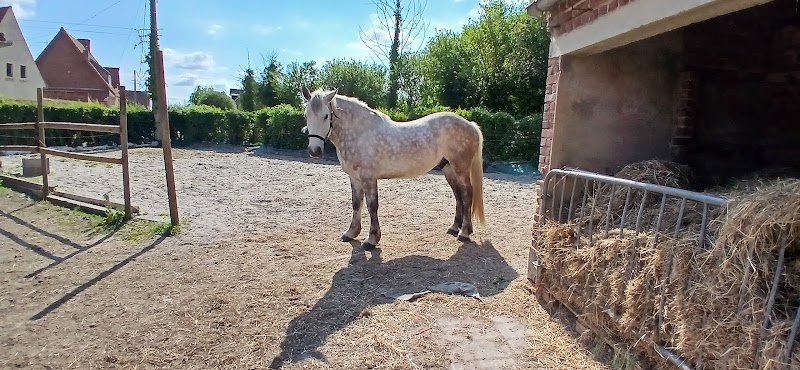 EcquEcurie - photo 3