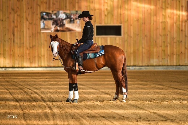 L’Orangerie - C&V Stable