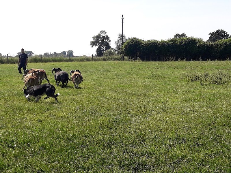Pension du val de Cassel - photo 1