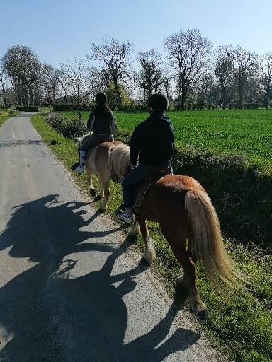 Cheval Nature et Découverte - photo 2