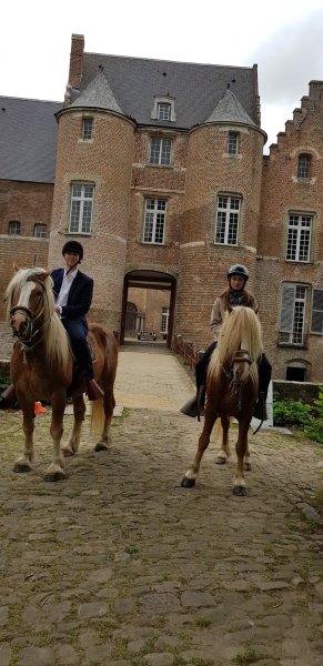 Cheval Nature et Découverte - photo 3