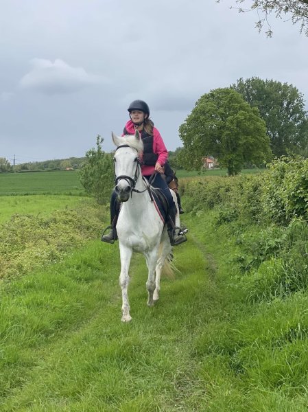 Écurie du Croquet - photo 2