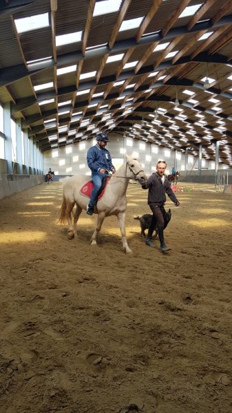 Écurie du Croquet - photo 3