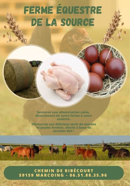 Ferme équestre de la source - photo 1