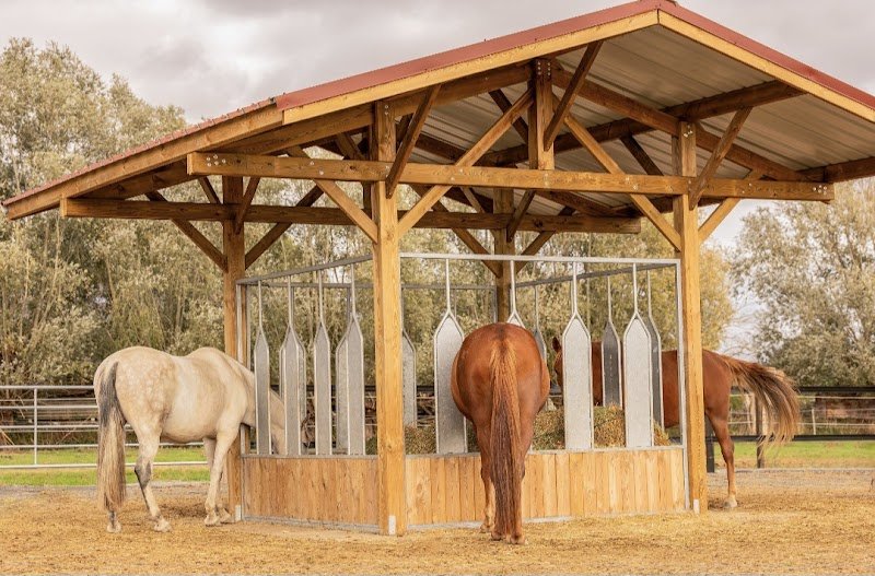 écurie active de la motte - photo 3