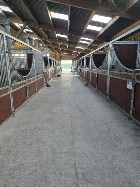 ECURIE DU JANNAH - photo 2