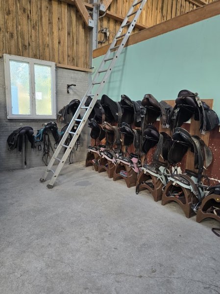 ECURIE DU JANNAH - photo 3