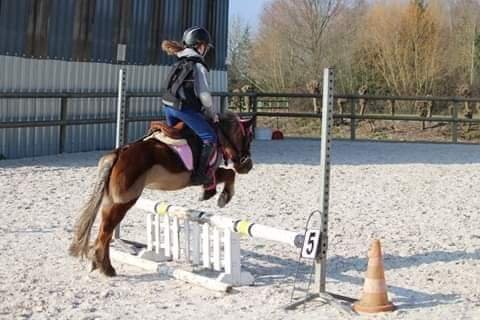 Les Écuries de la Méroise - photo 1