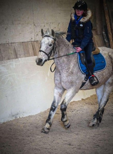 Les Écuries de la Méroise - photo 2