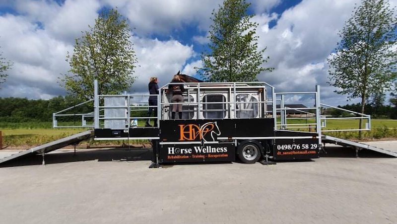 Écurie Horse Wellness - photo 2