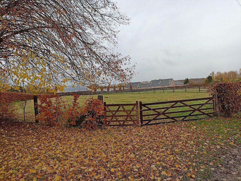 Haras de L'Aube - photo 2