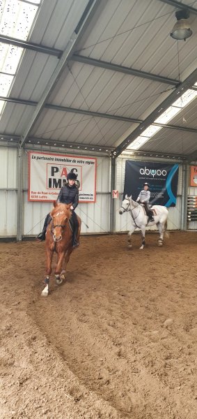 Cercle Equestre des Ecuries du Hututu