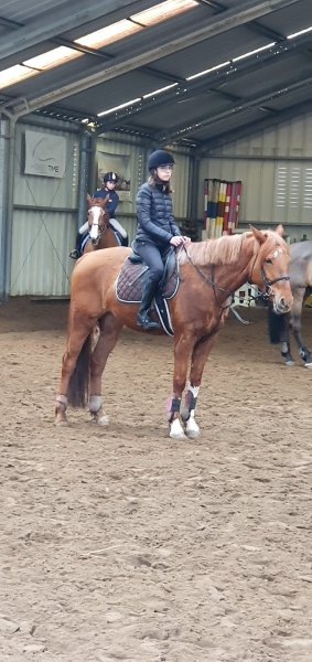 Cercle Equestre des Ecuries du Hututu - photo 2