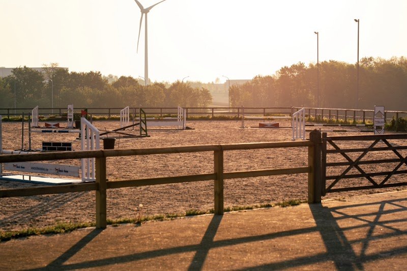 MC Stables - photo 3