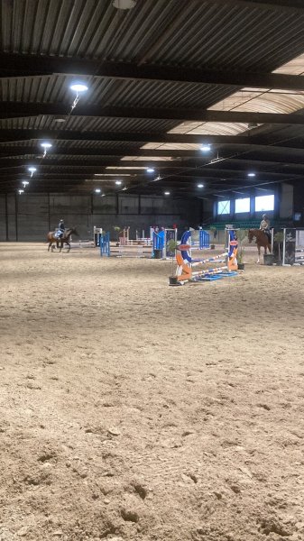 Haras de Bornival - photo 2