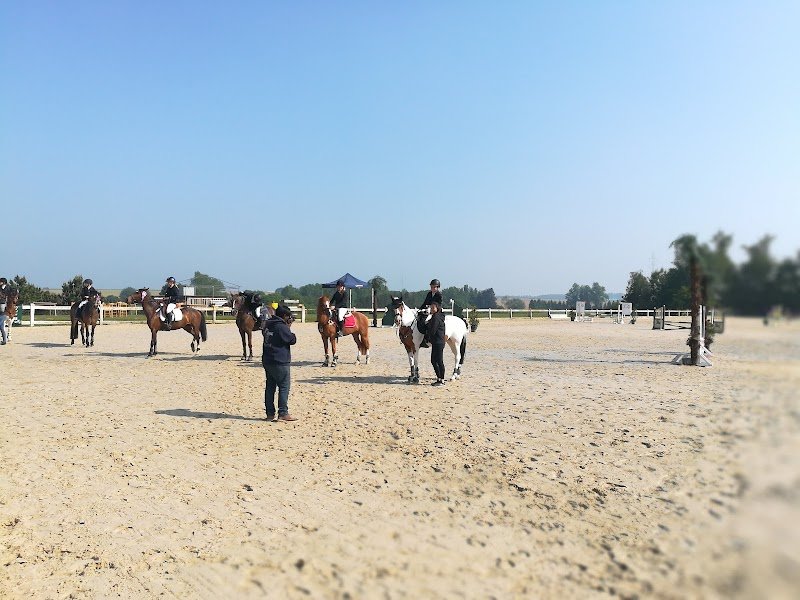 Haras de Bornival - photo 3