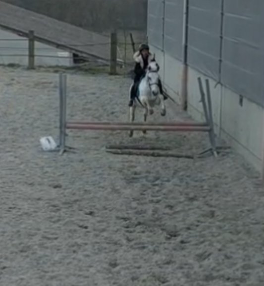 Les écuries du Marronnier - photo 1