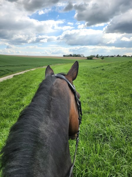 Écuries de la Marache